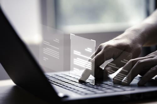 Web Paketi (1 Yıl)